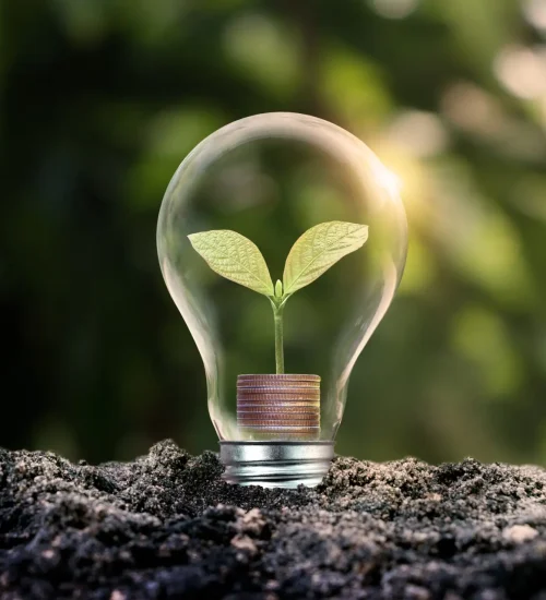 tree-that-grows-in-light-bulb